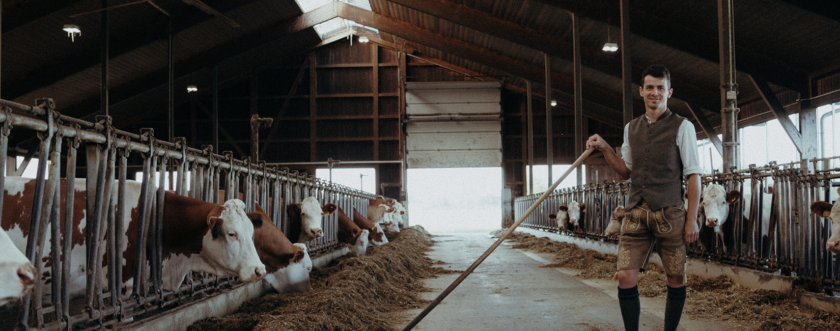 03_eberlhof-header_kuehe