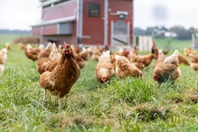 08_eberlhof-chiemsee_bauernhofjpg