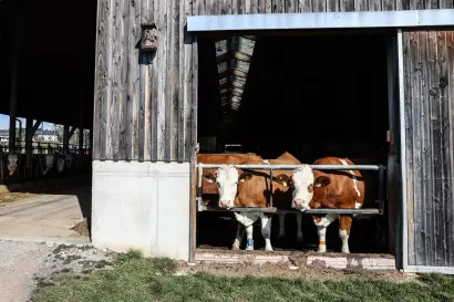 07_eberlhof-chiemsee_bauernhofjpg