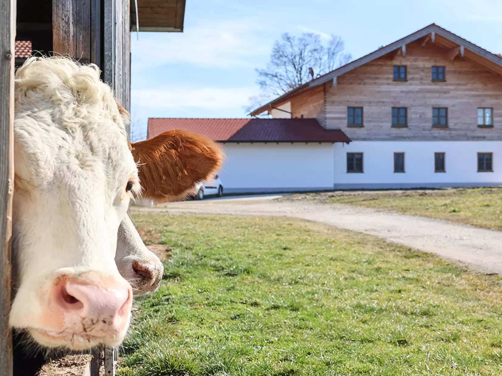 Bild zeigt die Familie Posch