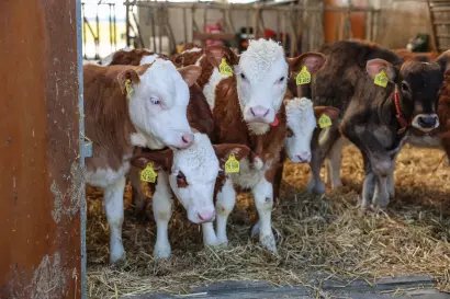 11_eberlhof-chiemsee_bauernhof