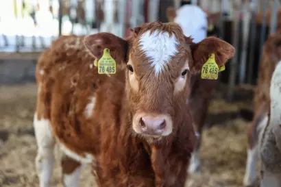 10_eberlhof-chiemsee_bauernhof