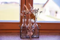 20_eberlhof-chiemsee_bergblick