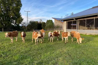 06_eberlhof-chiemsee_bauernhofjpg