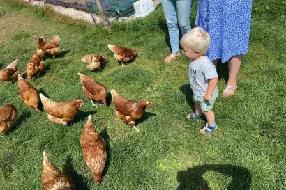 05_eberlhof-chiemsee_bauernhofjpg