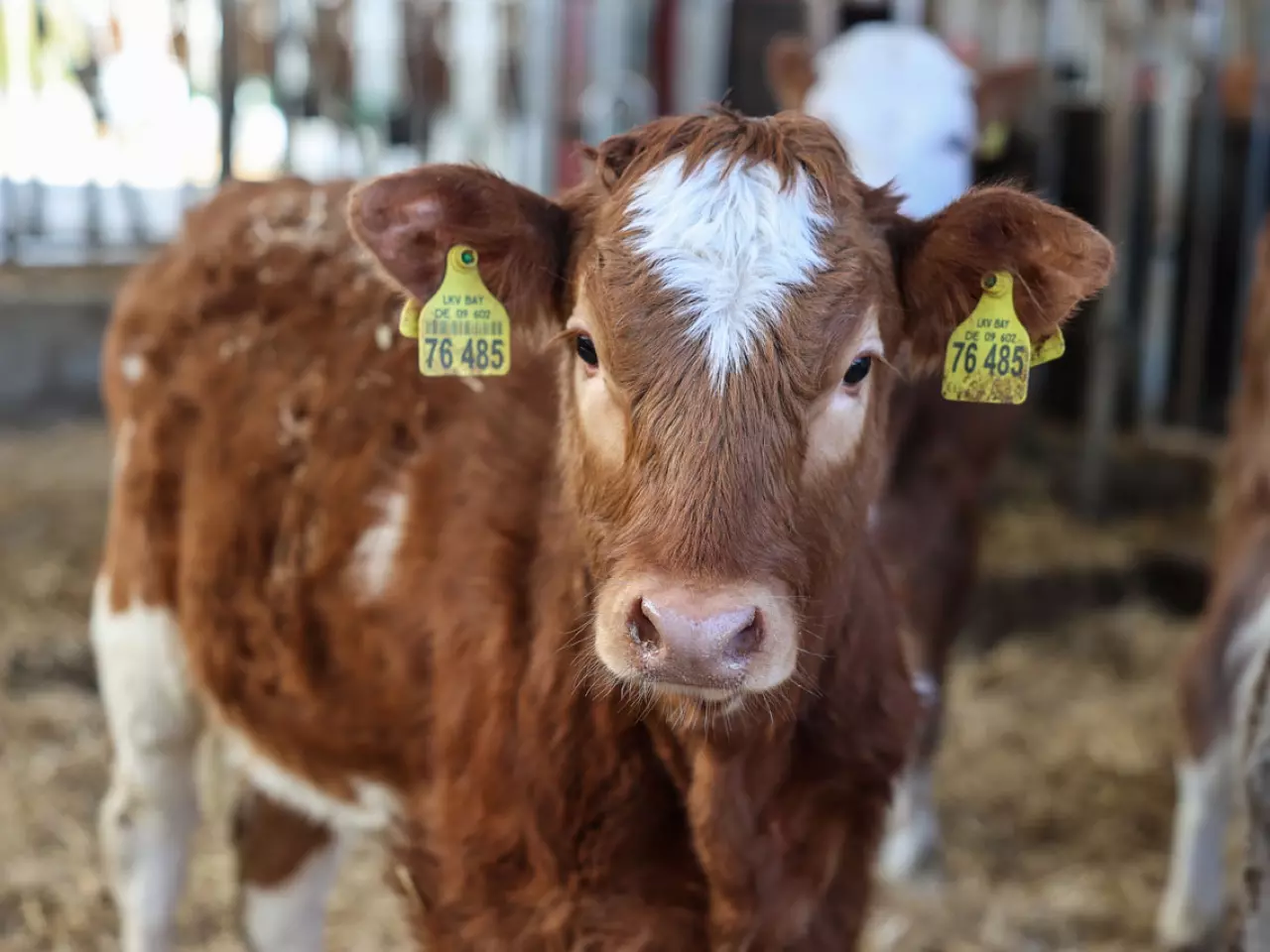 Nachhaltige Landwirtschaft