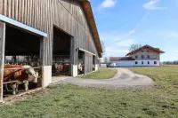 03_eberlhof-chiemsee_bauernhofjpg