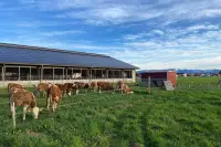 04_eberlhof-chiemsee_bauernhofjpg