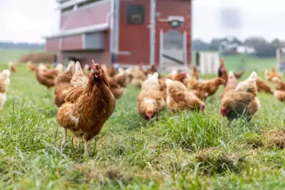 08_eberlhof-chiemsee_bauernhofjpg