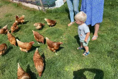 04_eberlhof-bildergalerie-hof