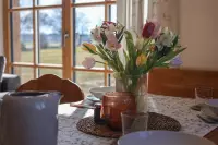 13_eberlhof-chiemsee_bergblick