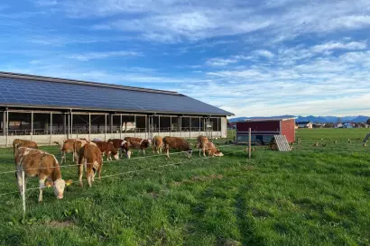 01_eberlhof-nachhaltigkeit